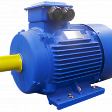 110/1000 АМ 315S6У2 исп 2081 эл.двигатель